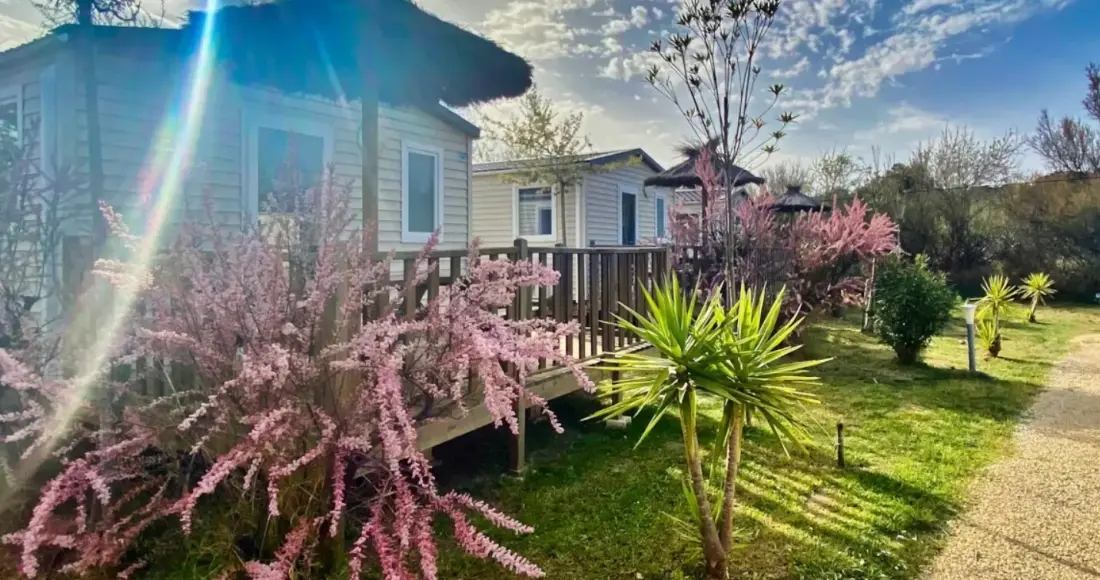 Camping Paradis Le Soleil d'Oc4 étoiles★★★★